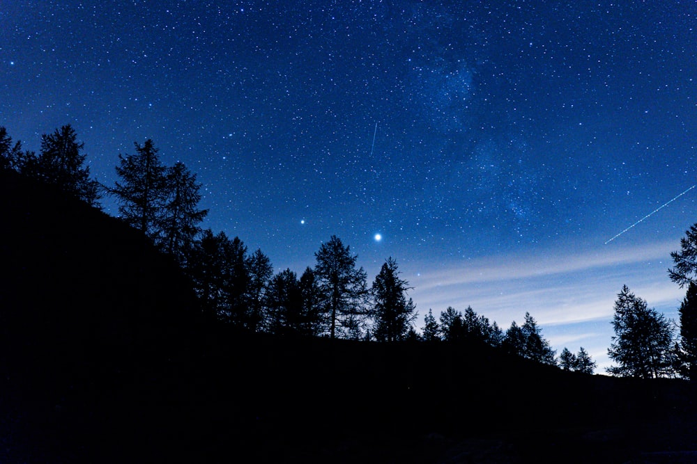 the night sky with stars and trees in the foreground