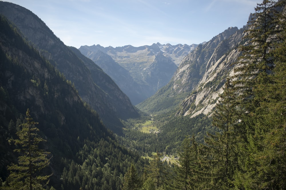 a view of a valley with mountains in the background