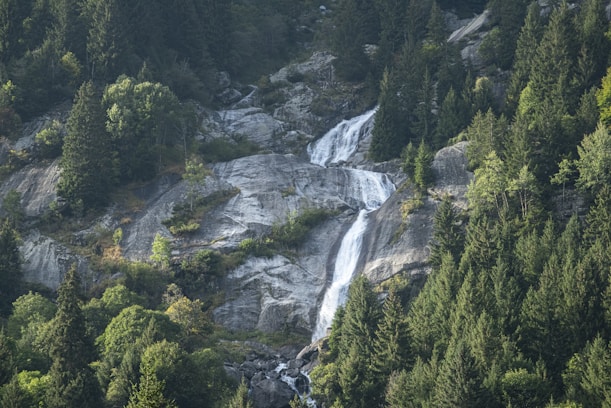 a waterfall in the middle of a forest