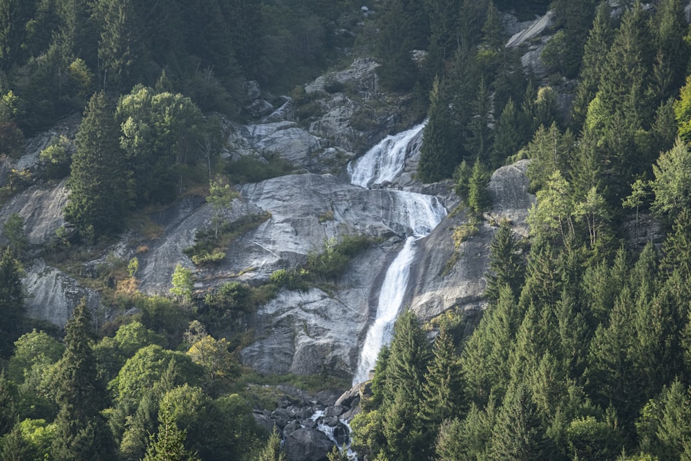 a waterfall in the middle of a forest