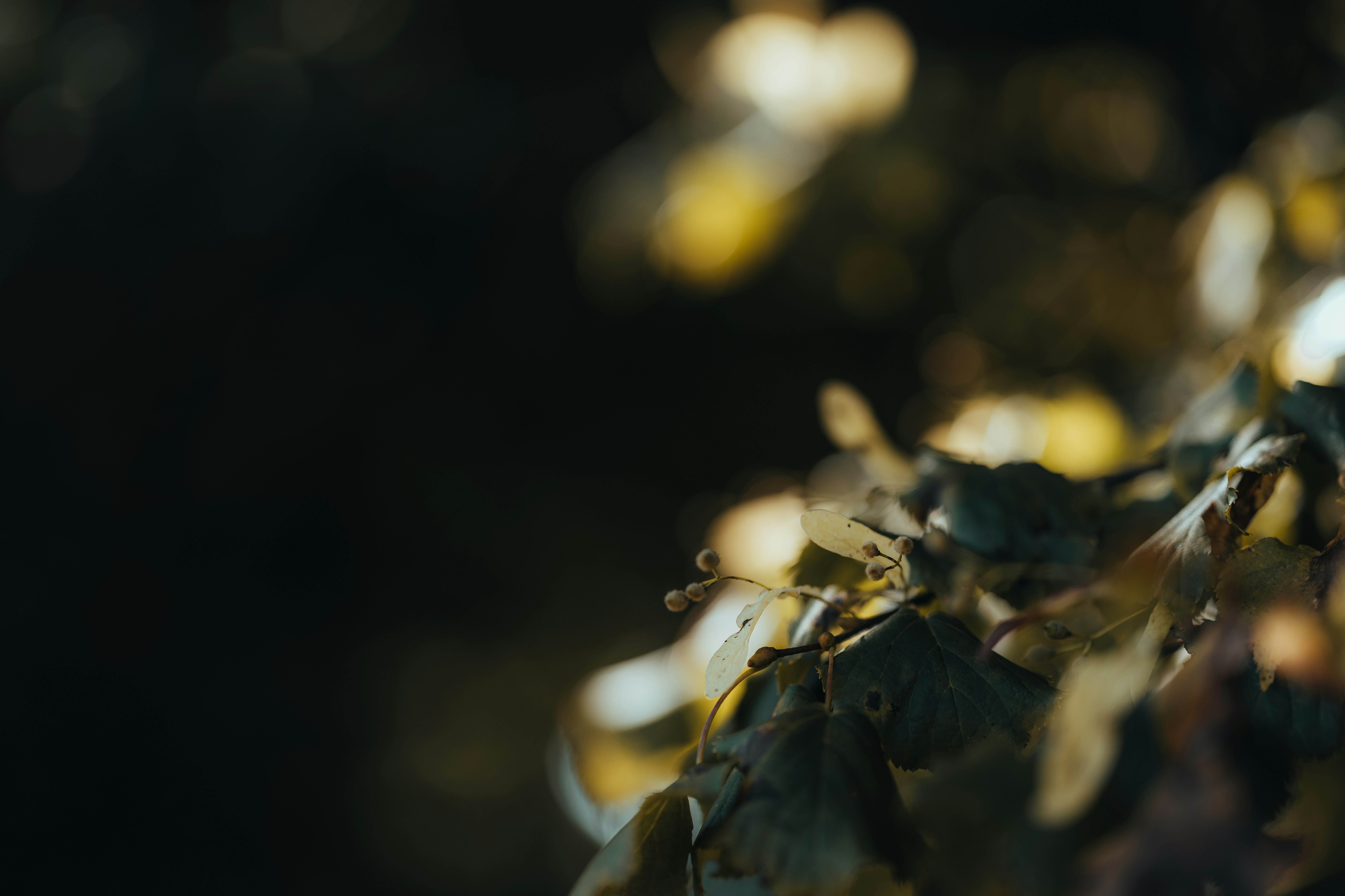 Photo by anniespratt