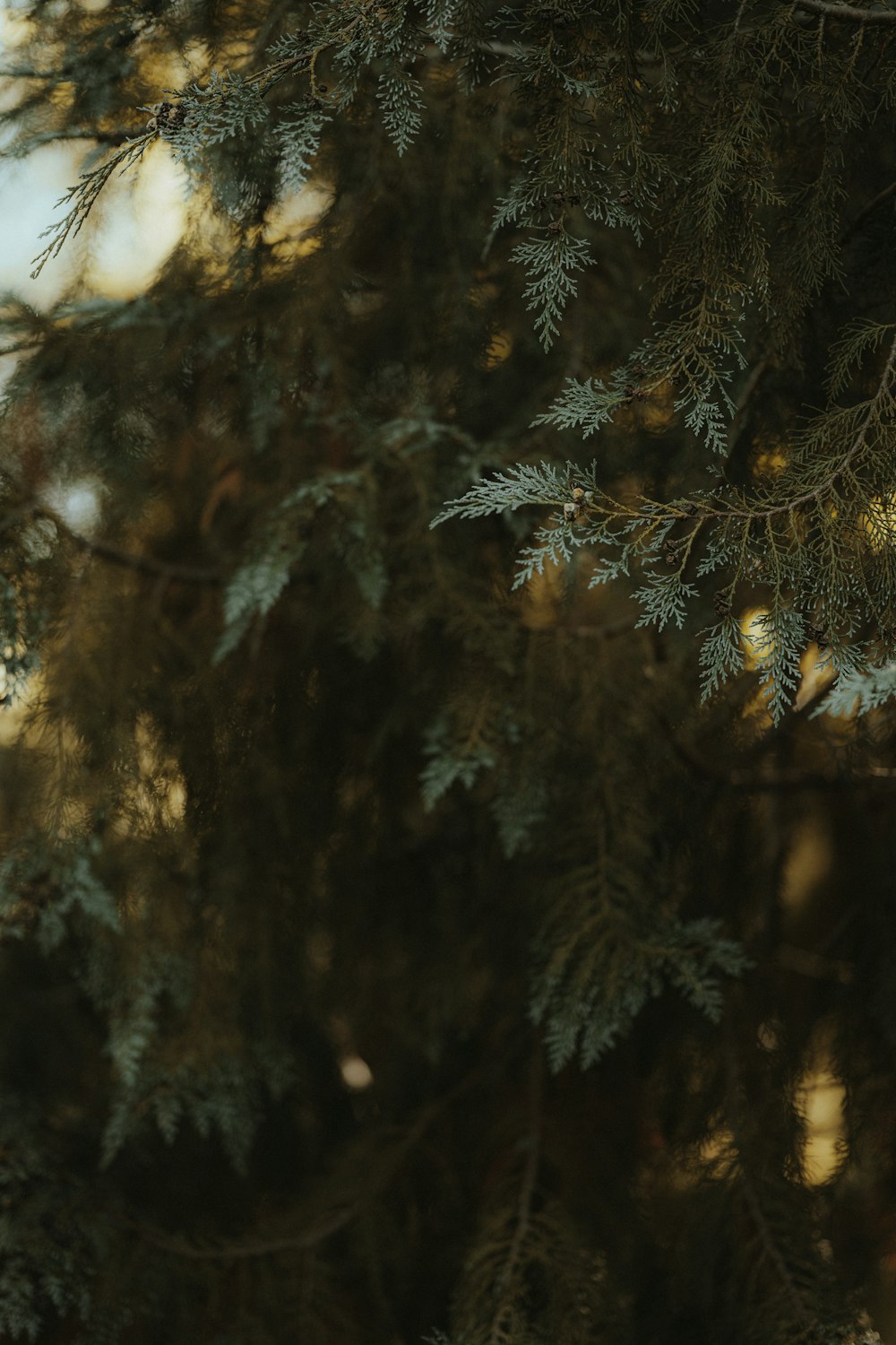 a bird is perched on a tree branch