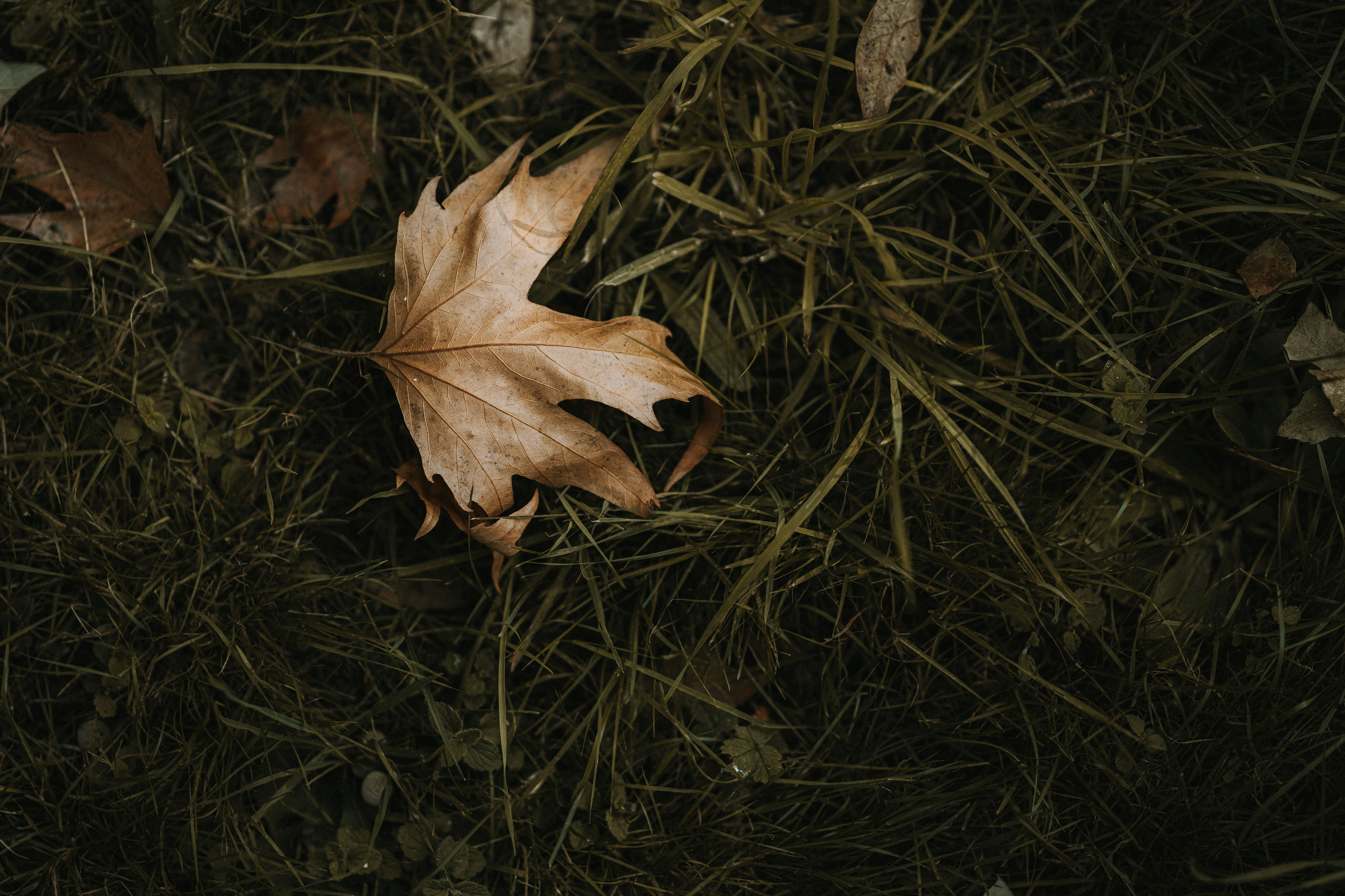 Small-Scale Farewell Pop‑Ups: A Practical Playbook for Community Goodbyes in 2026