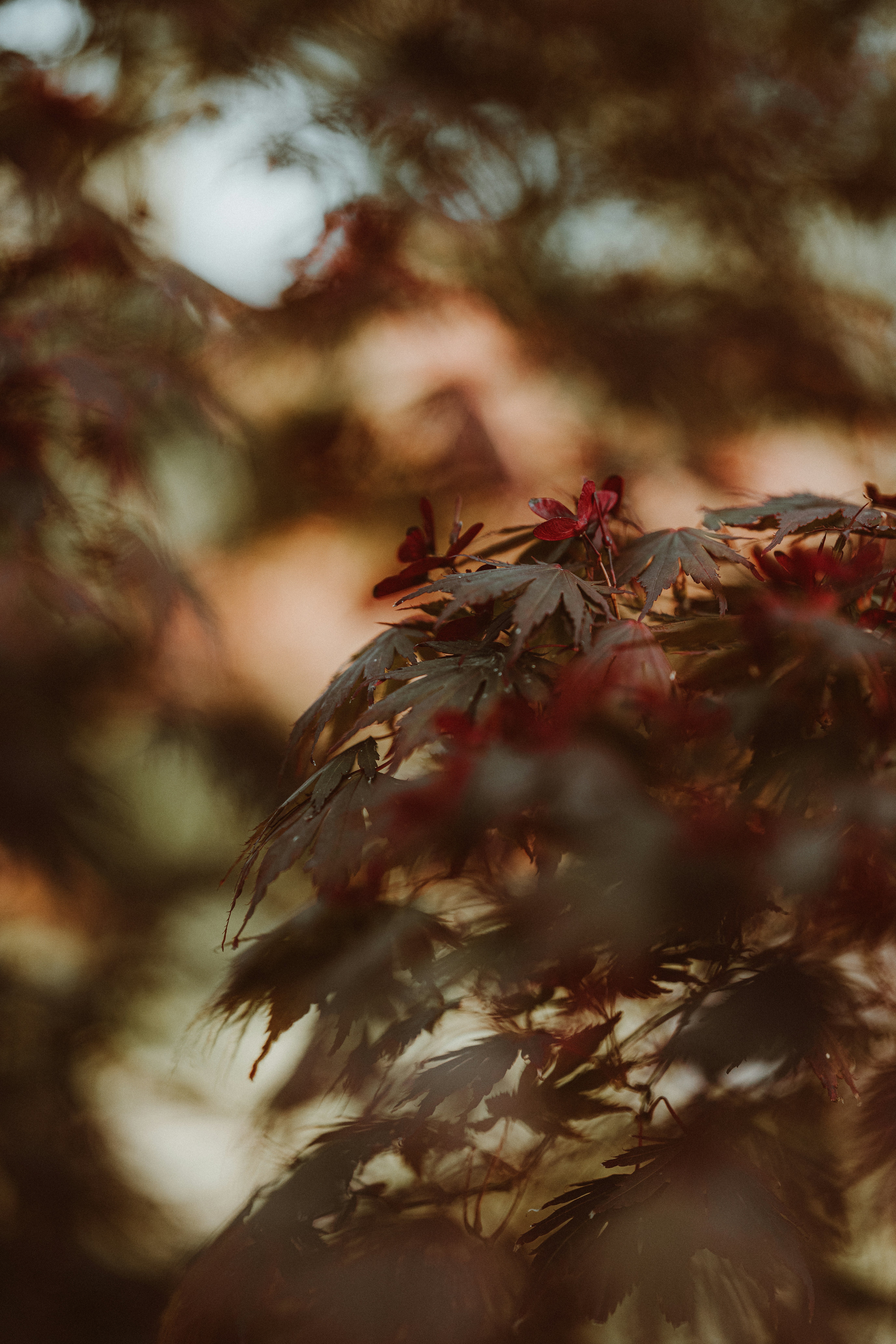 Photo by anniespratt