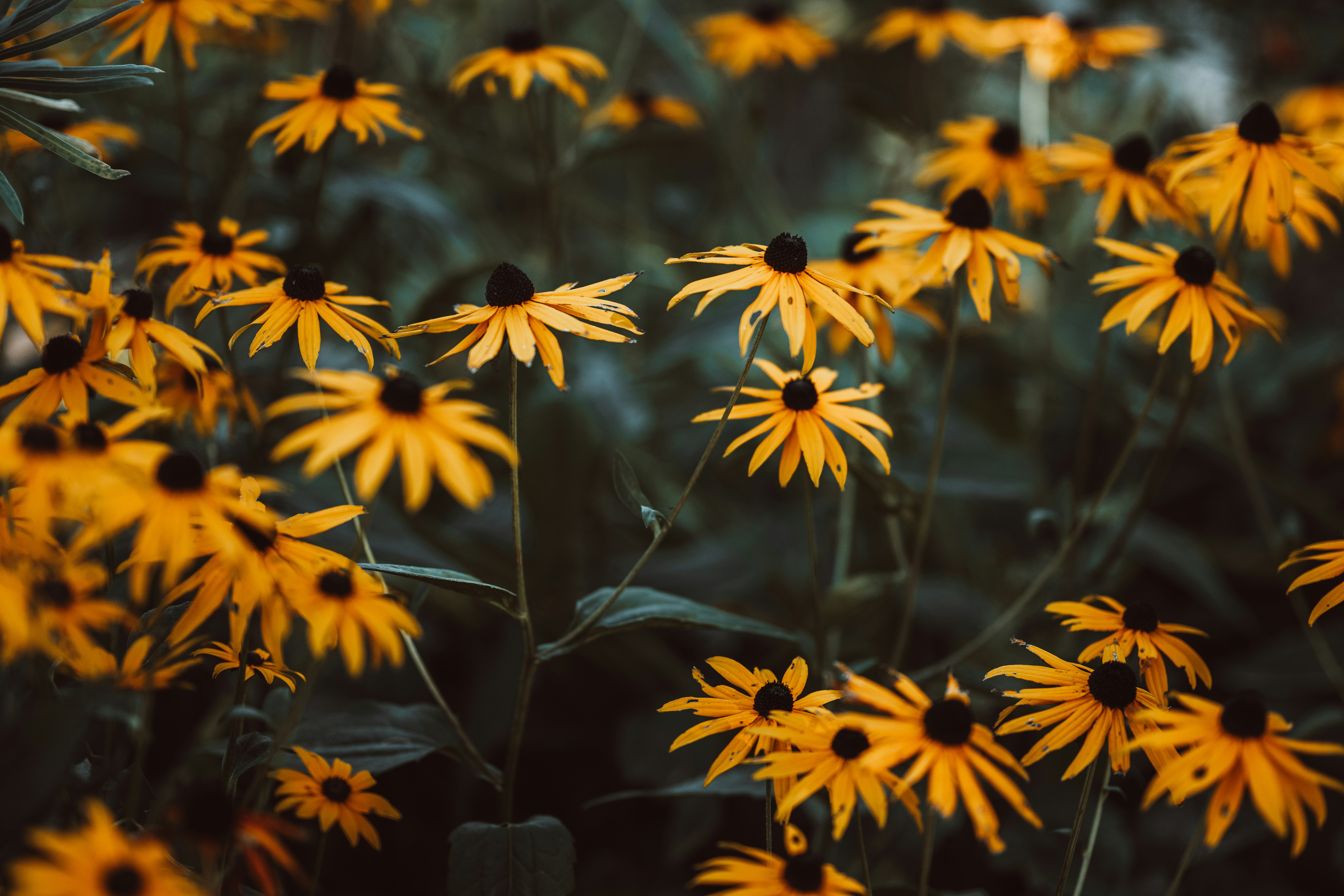 Photo by anniespratt