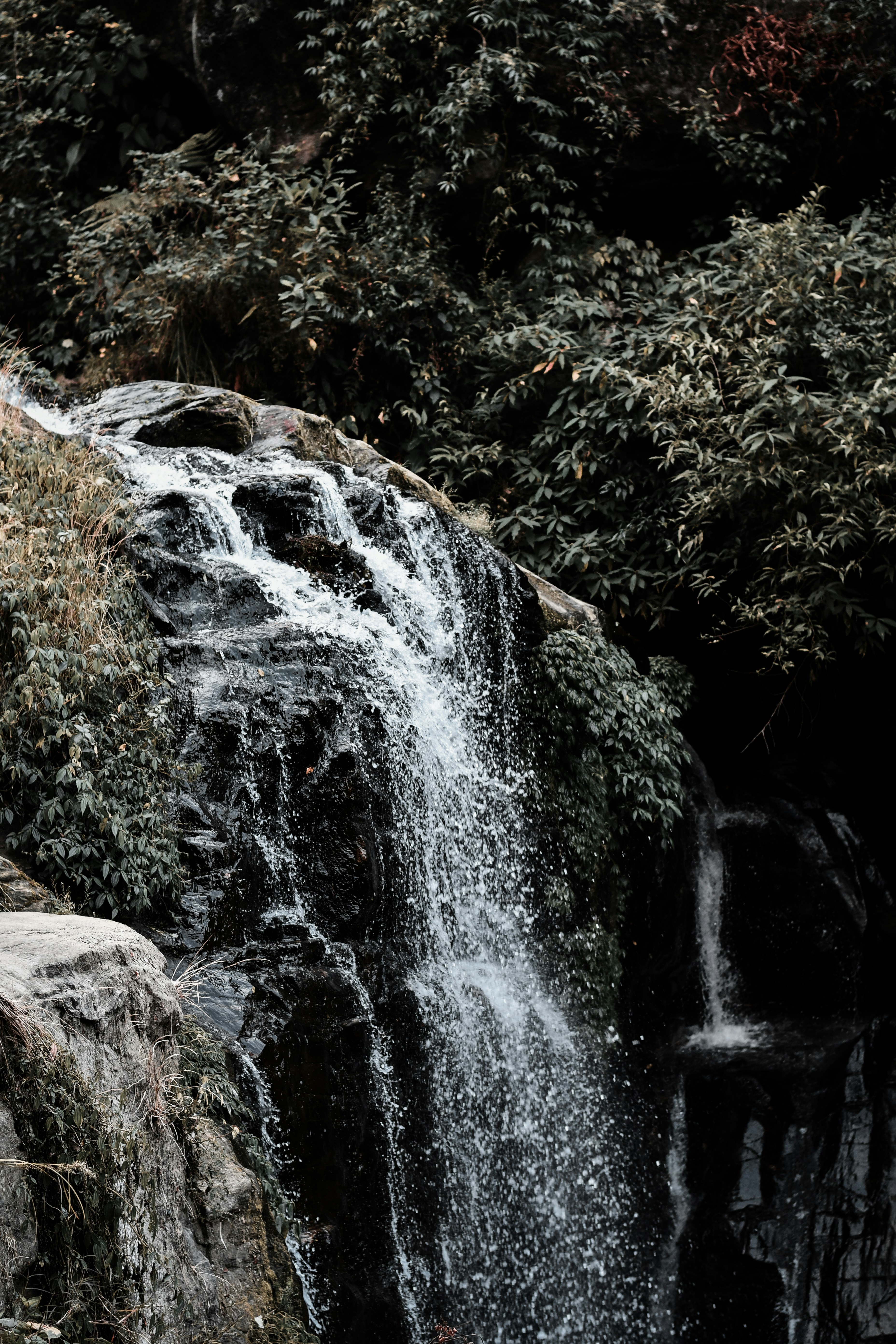 Photo by anirbansarkar9433