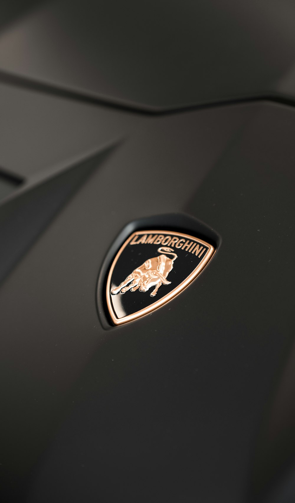 a close up of the emblem on a sports car