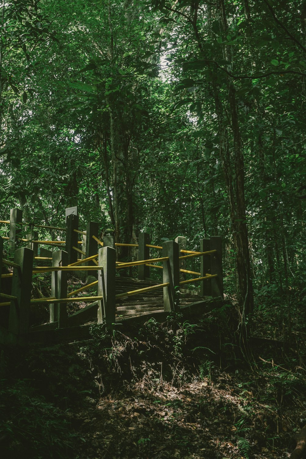 a wooden gate in the middle of a forest