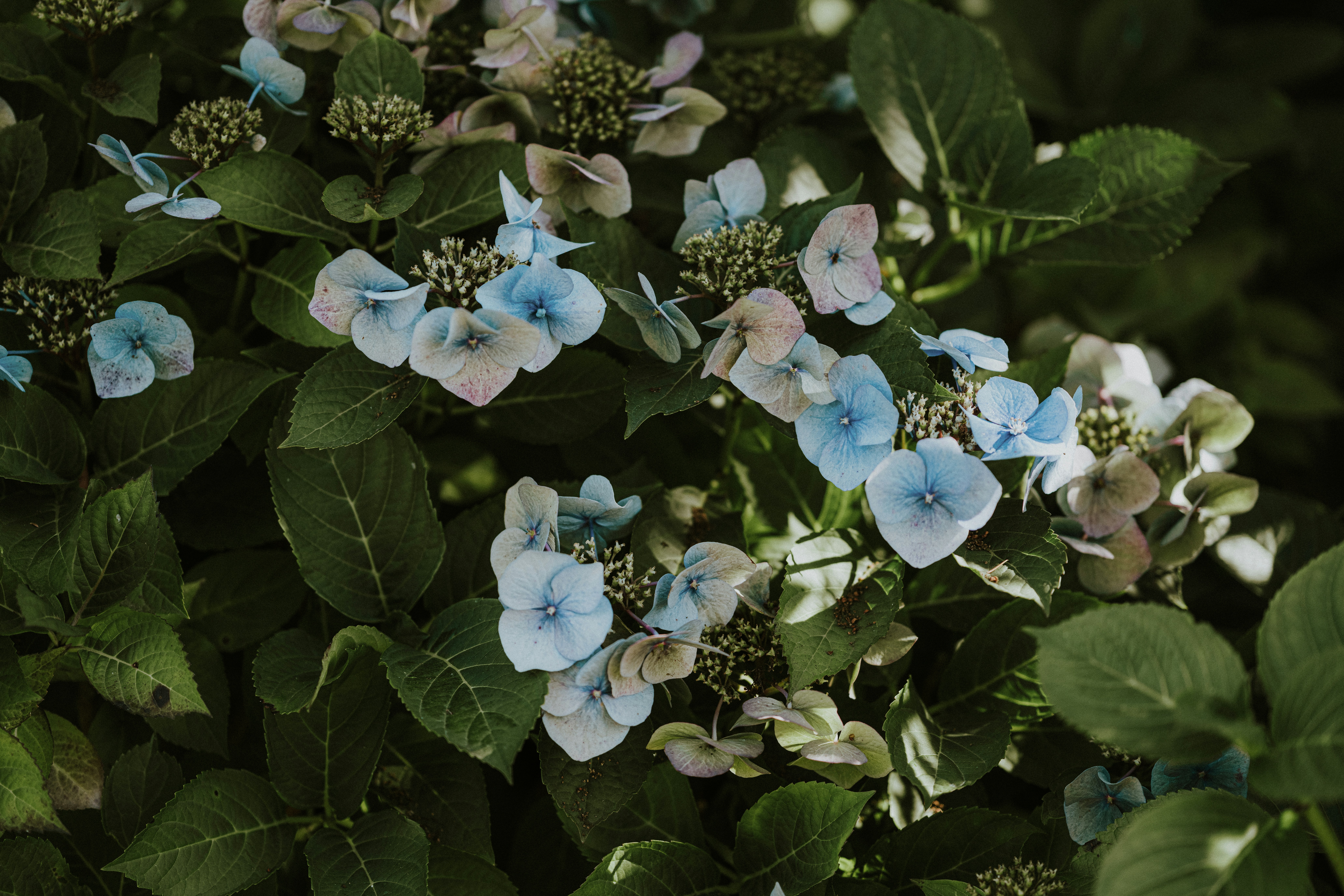 Photo by anniespratt