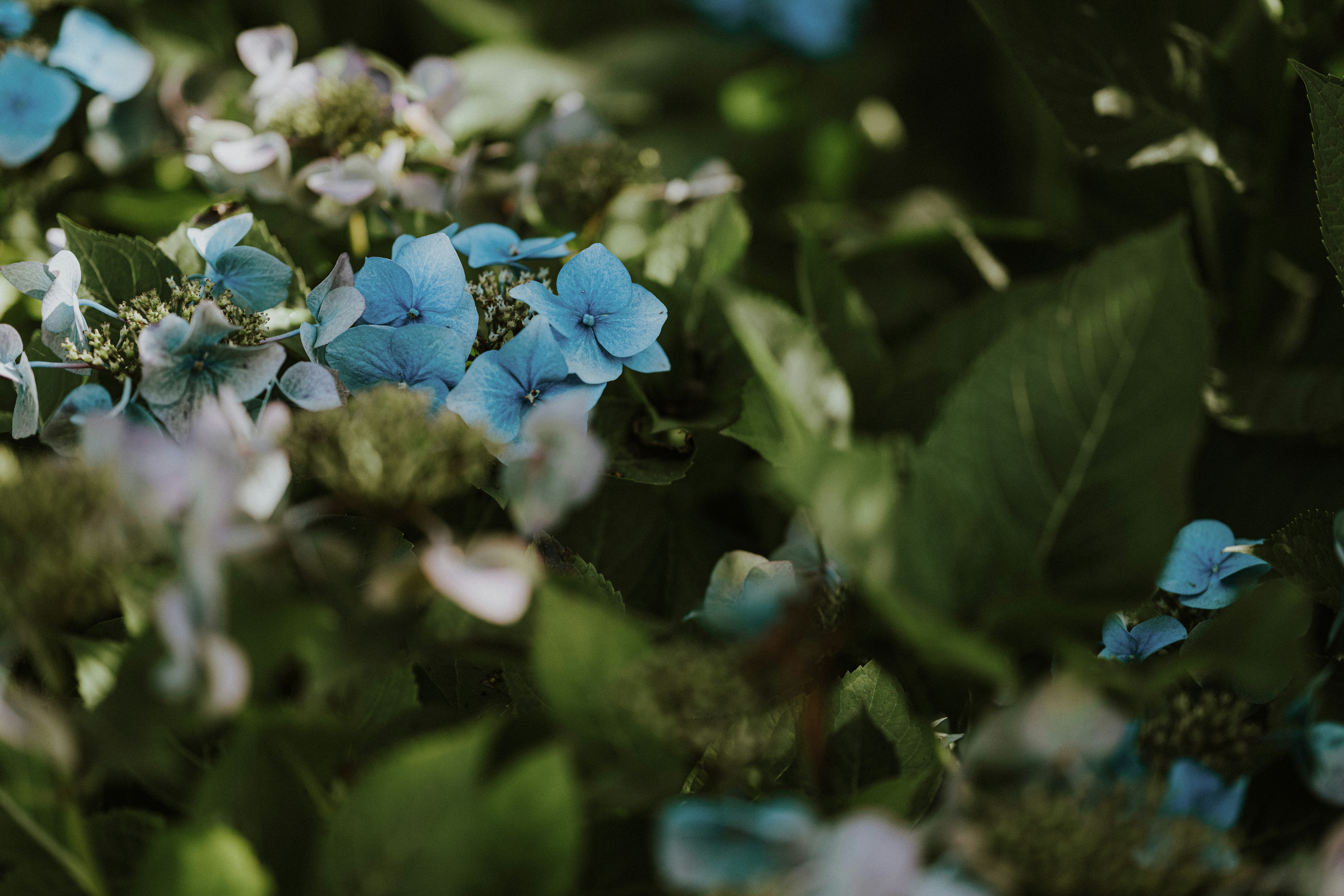 Photo by anniespratt