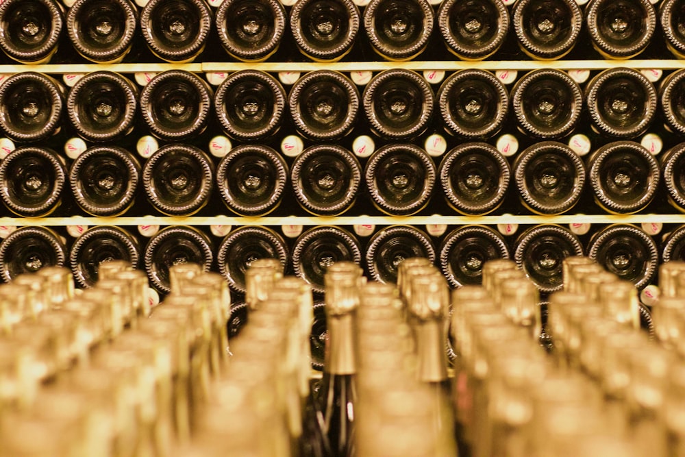 rows of wine bottles in a wine cellar