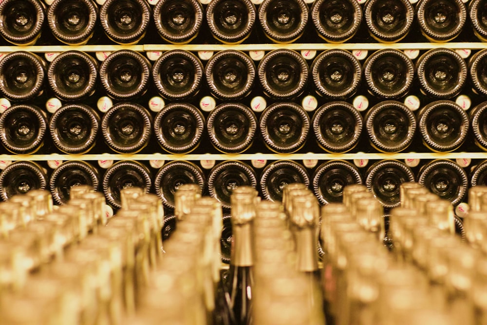 file di bottiglie di vino in una cantina