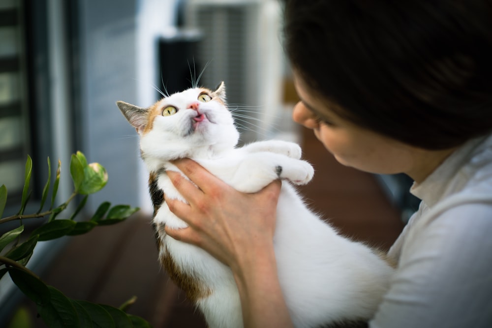 a woman holding a white and brown cat