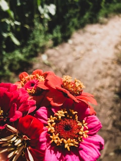 A vibrant bouquet bursting with colorful flowers against a bright, cheerful background.