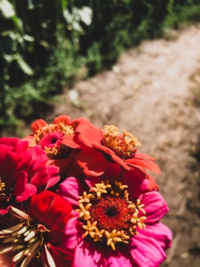 A vibrant bouquet bursting with colorful flowers against a bright, cheerful background.