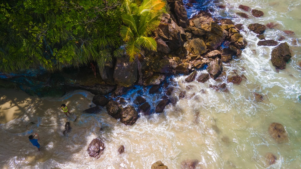 a group of people standing on top of a beach next to a lush green forest