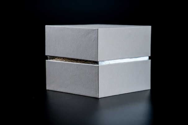 A sleek stainless steel cat litter box showcasing its modern design.