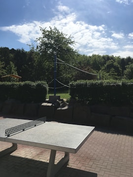 A table tennis setup with a net is positioned outdoors on a paved surface. In the background, a green hedge and trees are visible under a blue sky with scattered clouds. A volleyball net stands behind the table amidst the greenery.