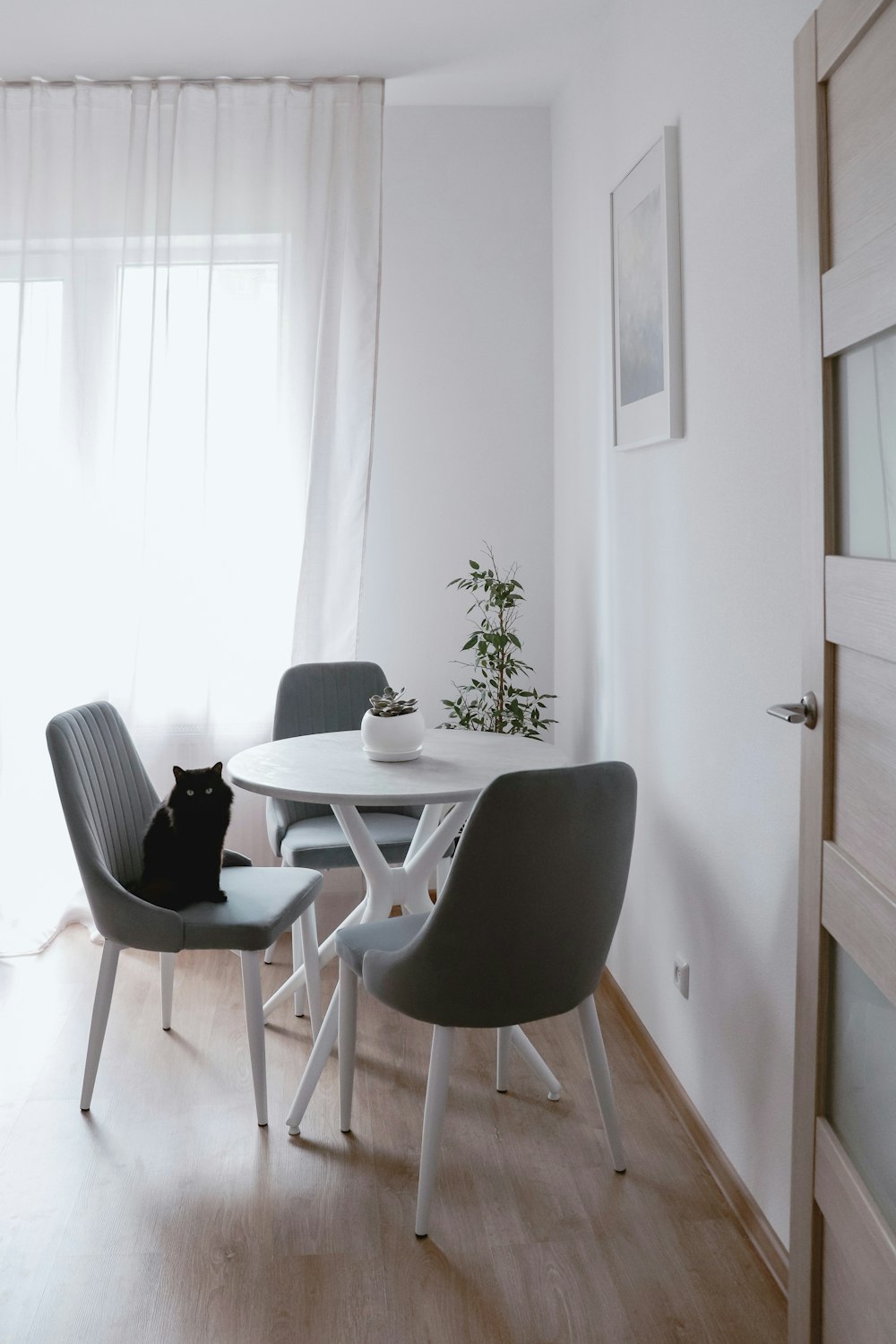 하얀 테이블 위에 앉아 있는 검은 고양이