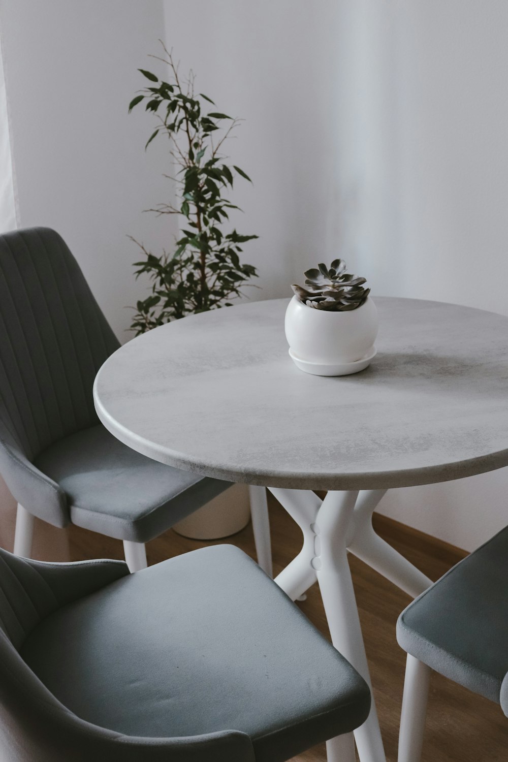 a table with two chairs and a potted plant