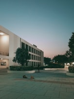 A peaceful, modern building during twilight with soft lighting illuminating the white walls. Two dogs are lying on the spacious tiled walkway in the foreground. There are a few green bushes and a large tree along the walkway.