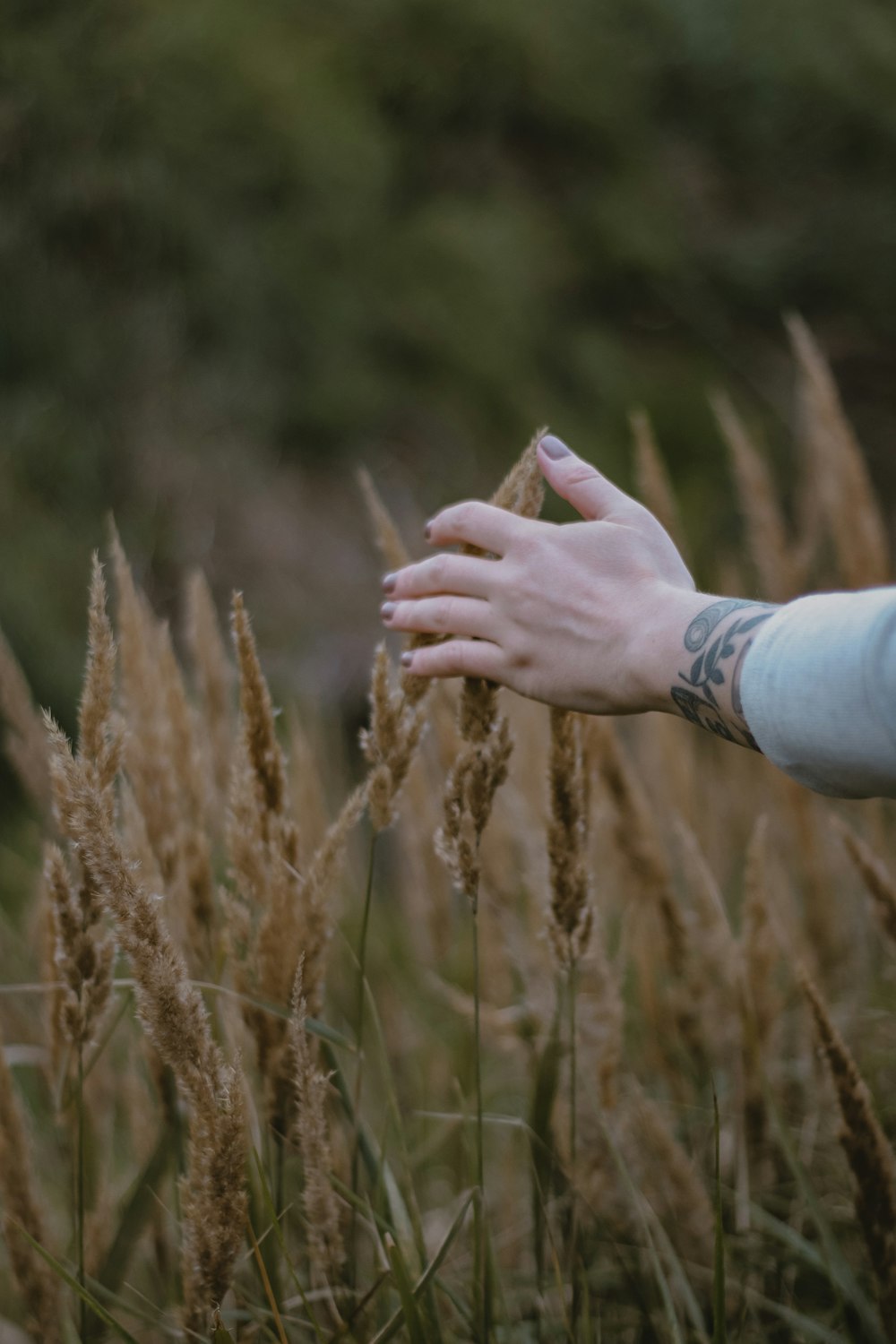 a person's hand reaching for a frisbee in a field