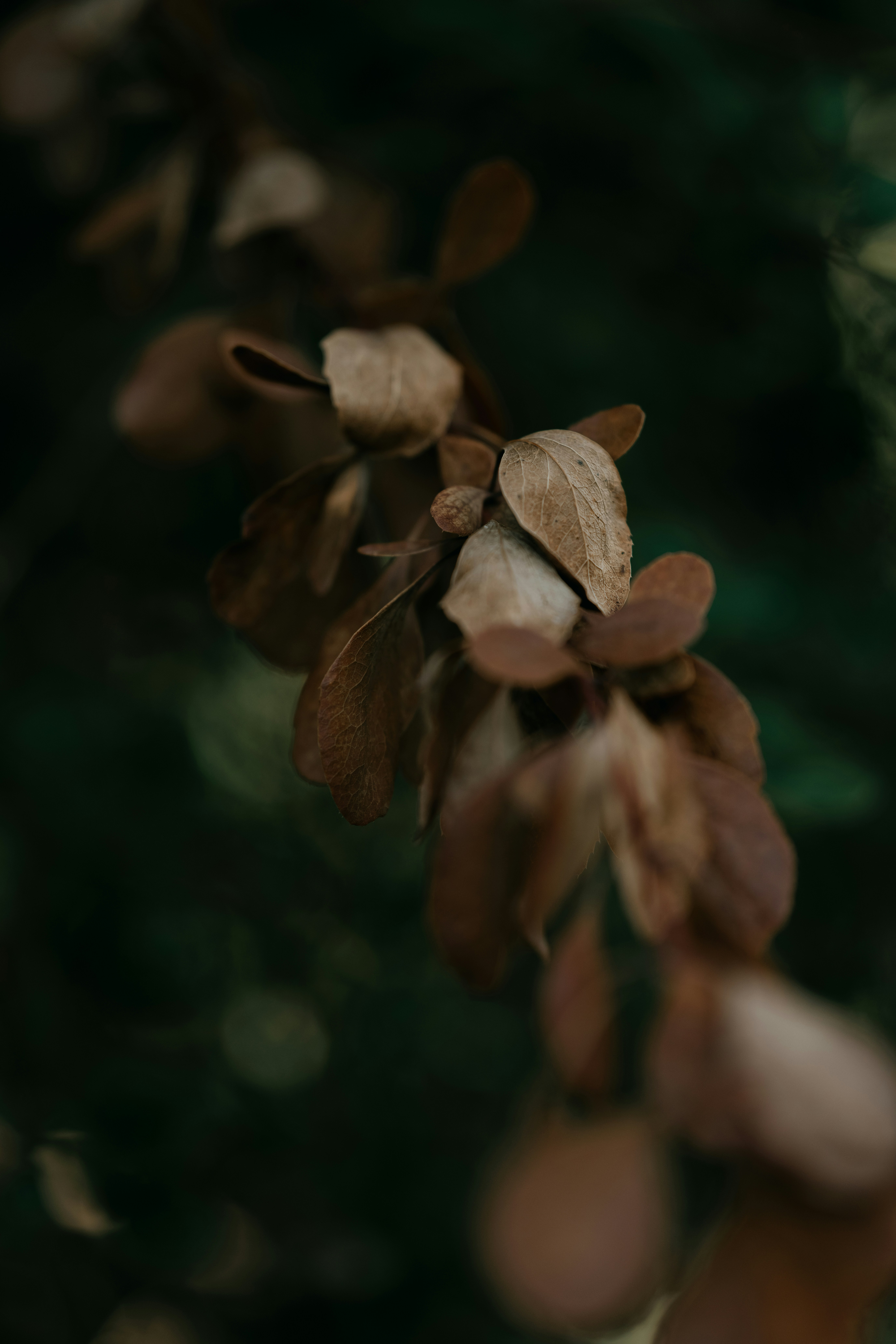 Photo by anniespratt