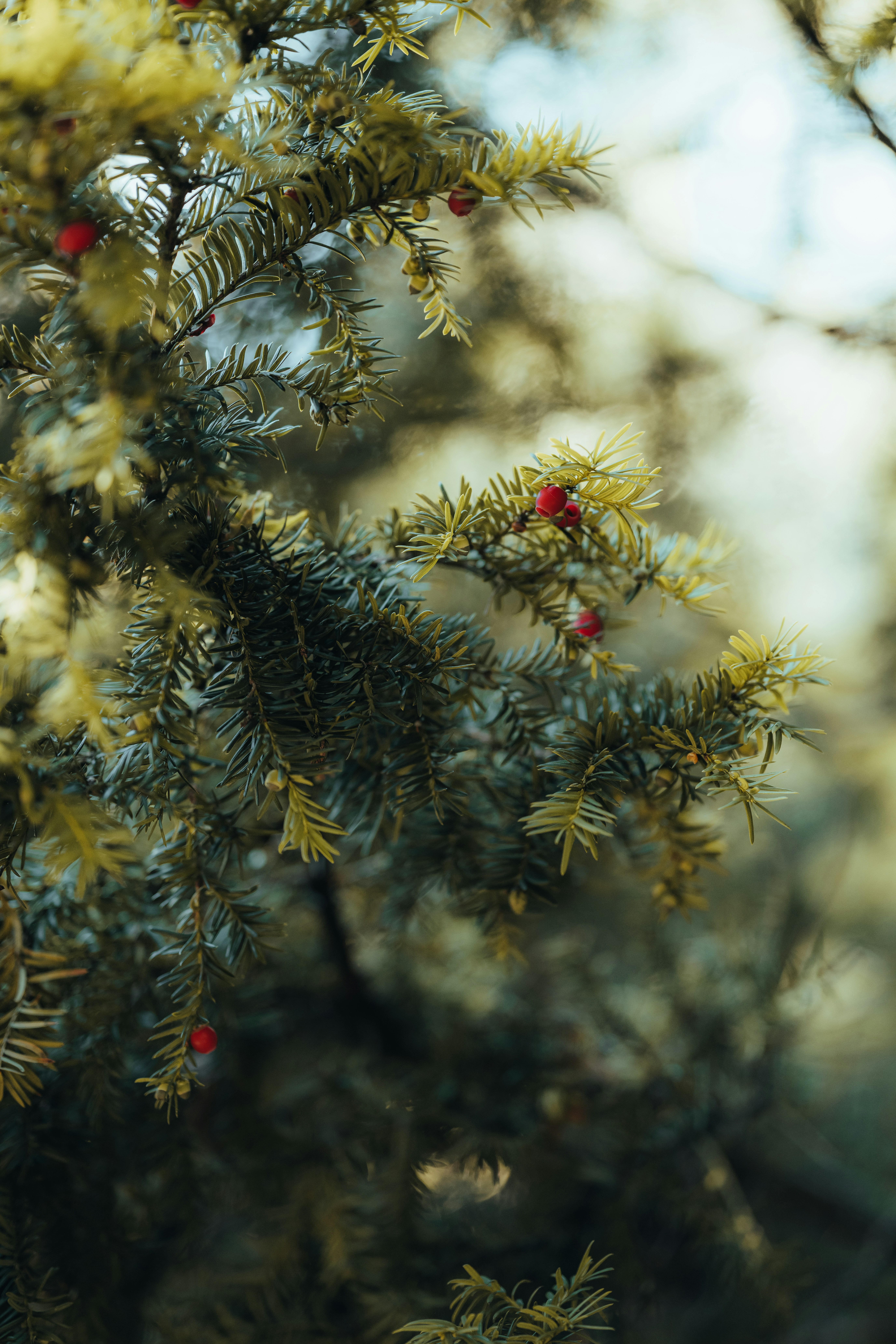 Photo by anniespratt