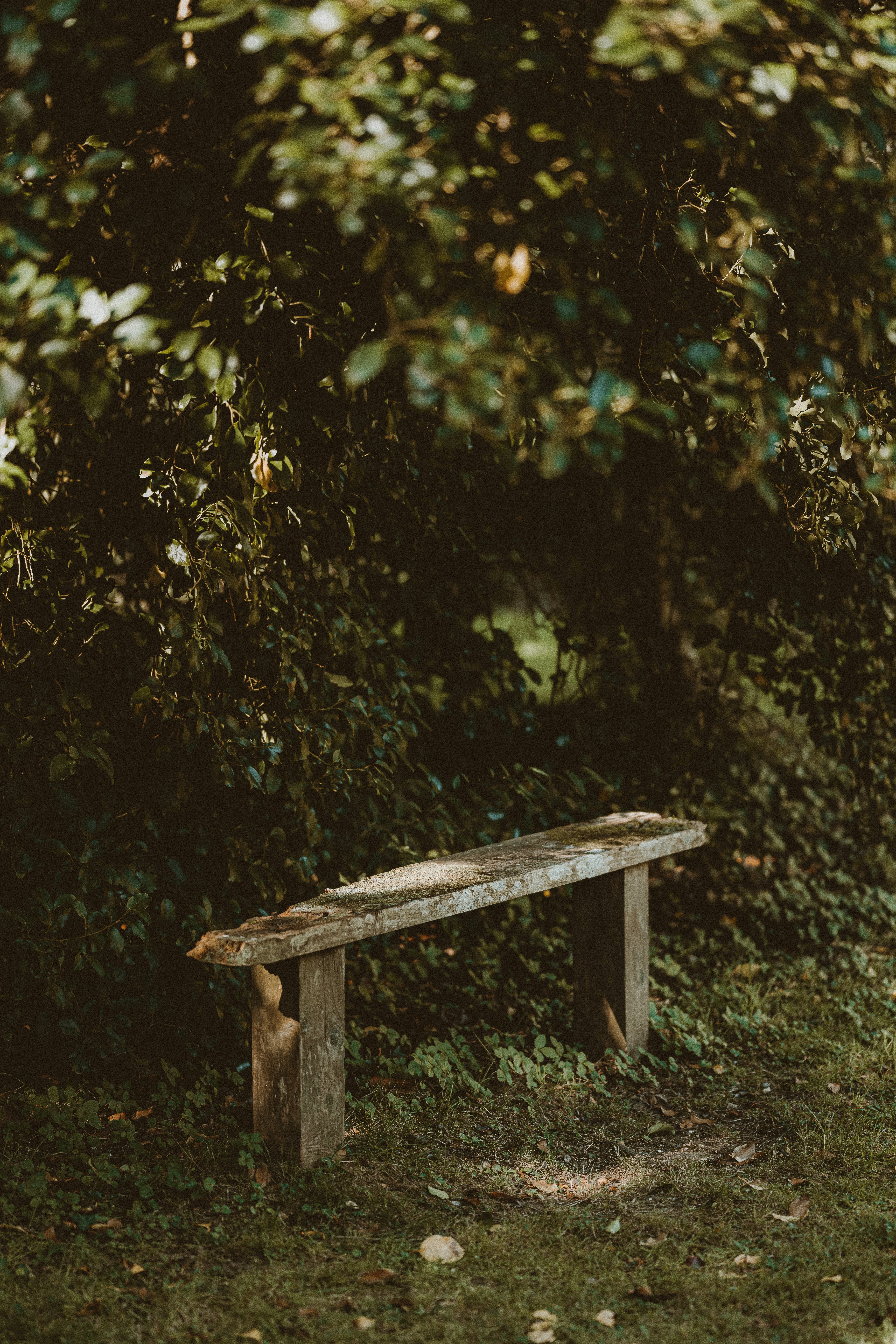 Photo by anniespratt