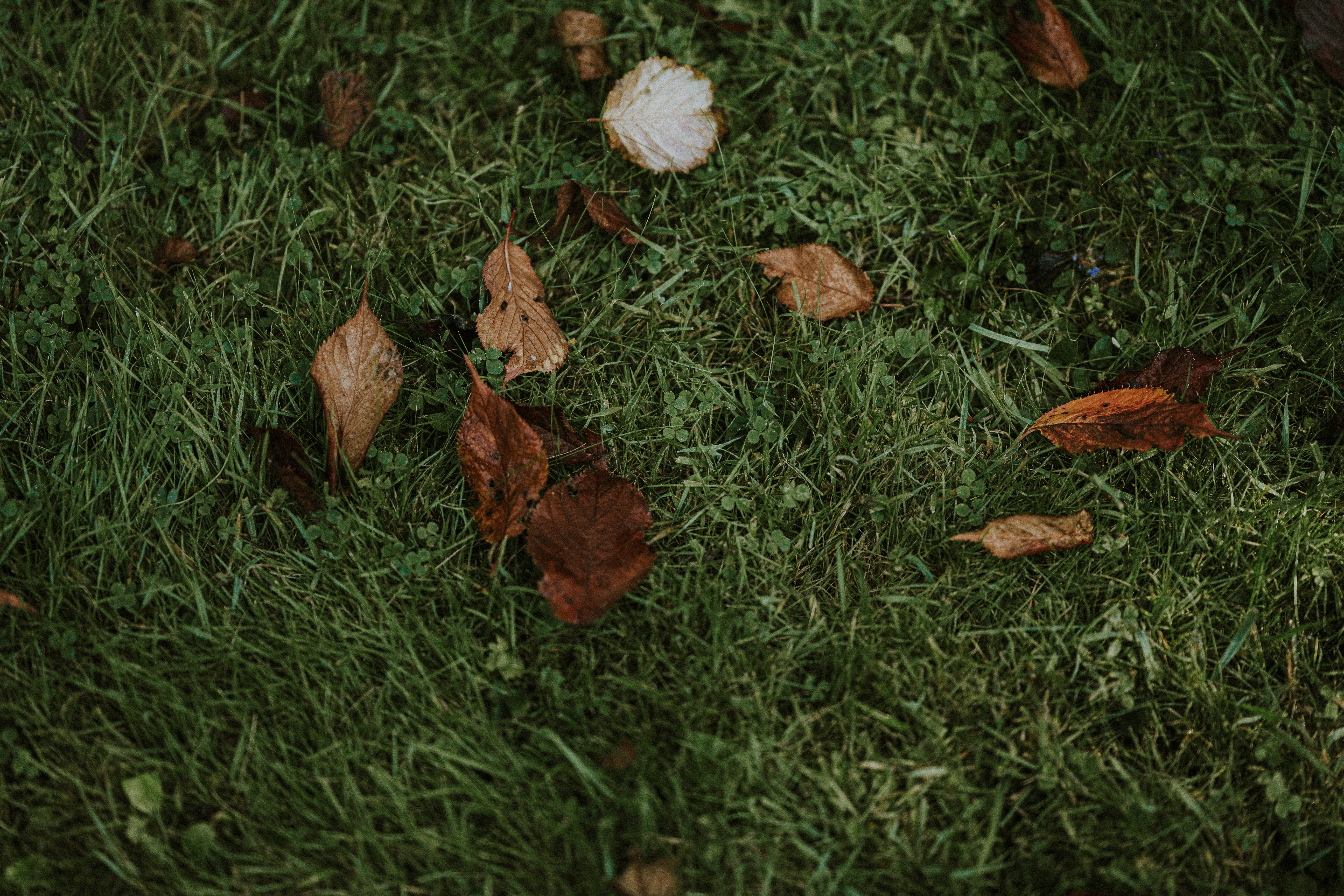 Photo by anniespratt