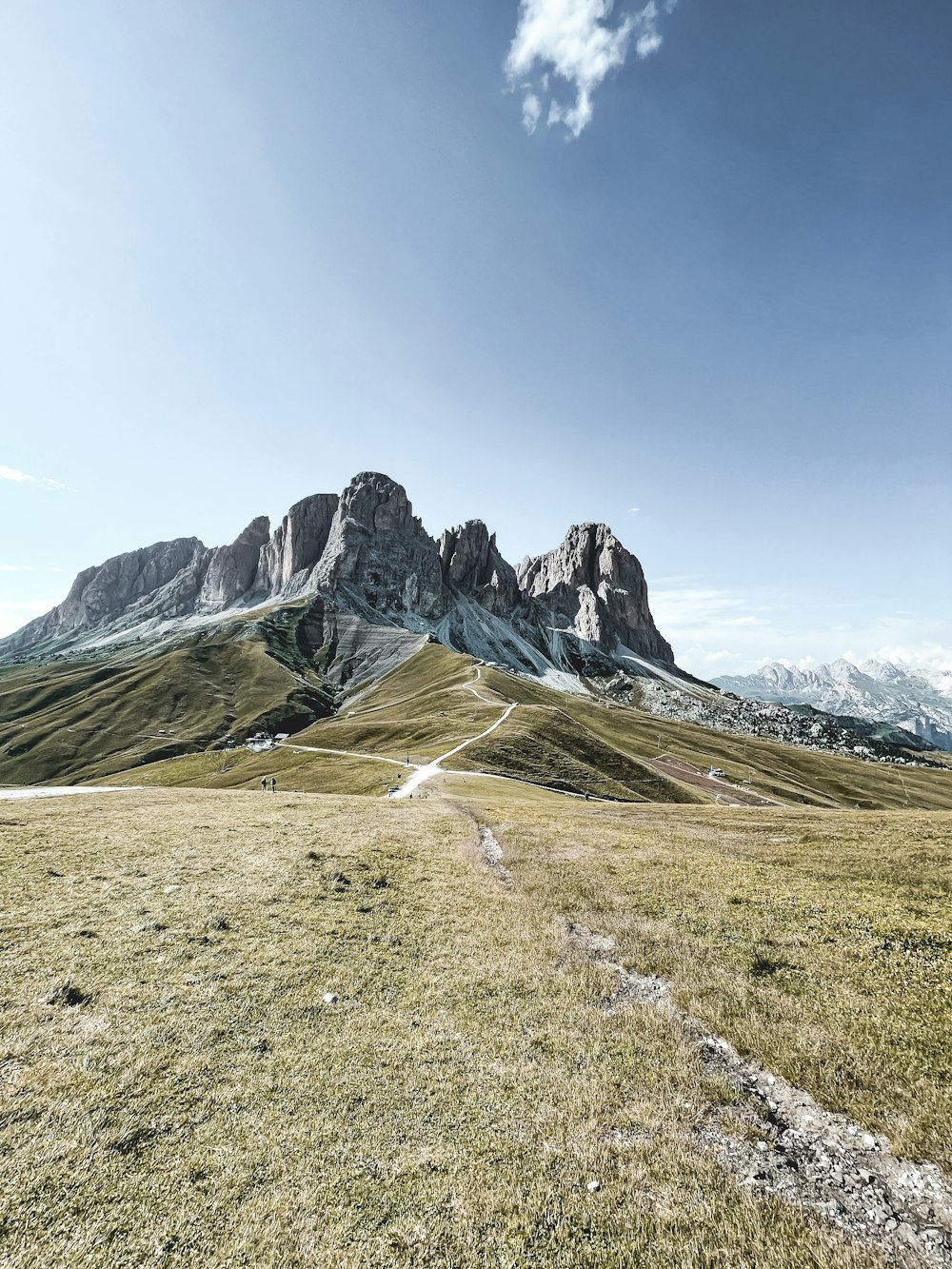 a grassy field with a mountain in the background