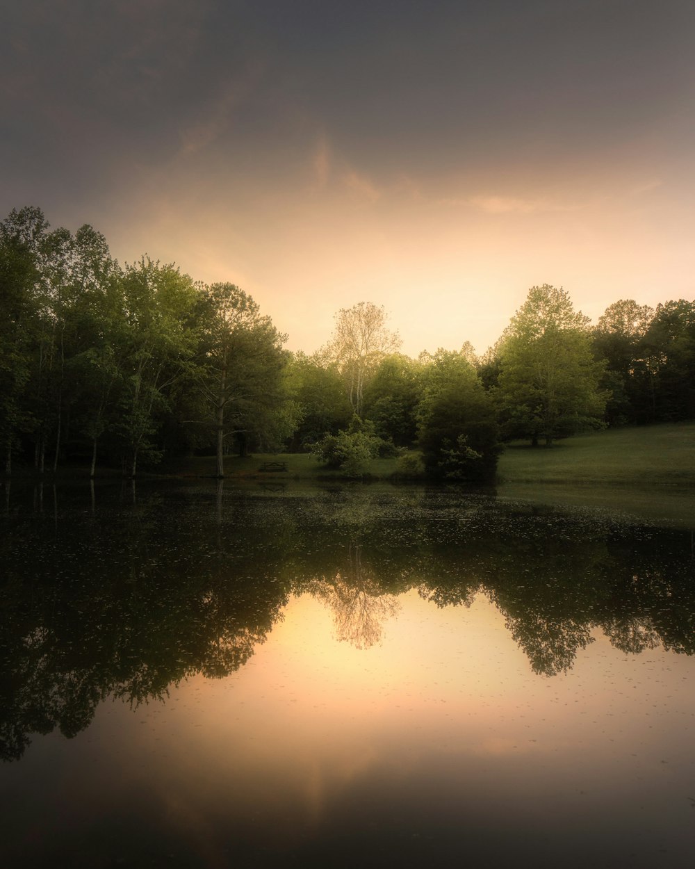 a large body of water surrounded by trees