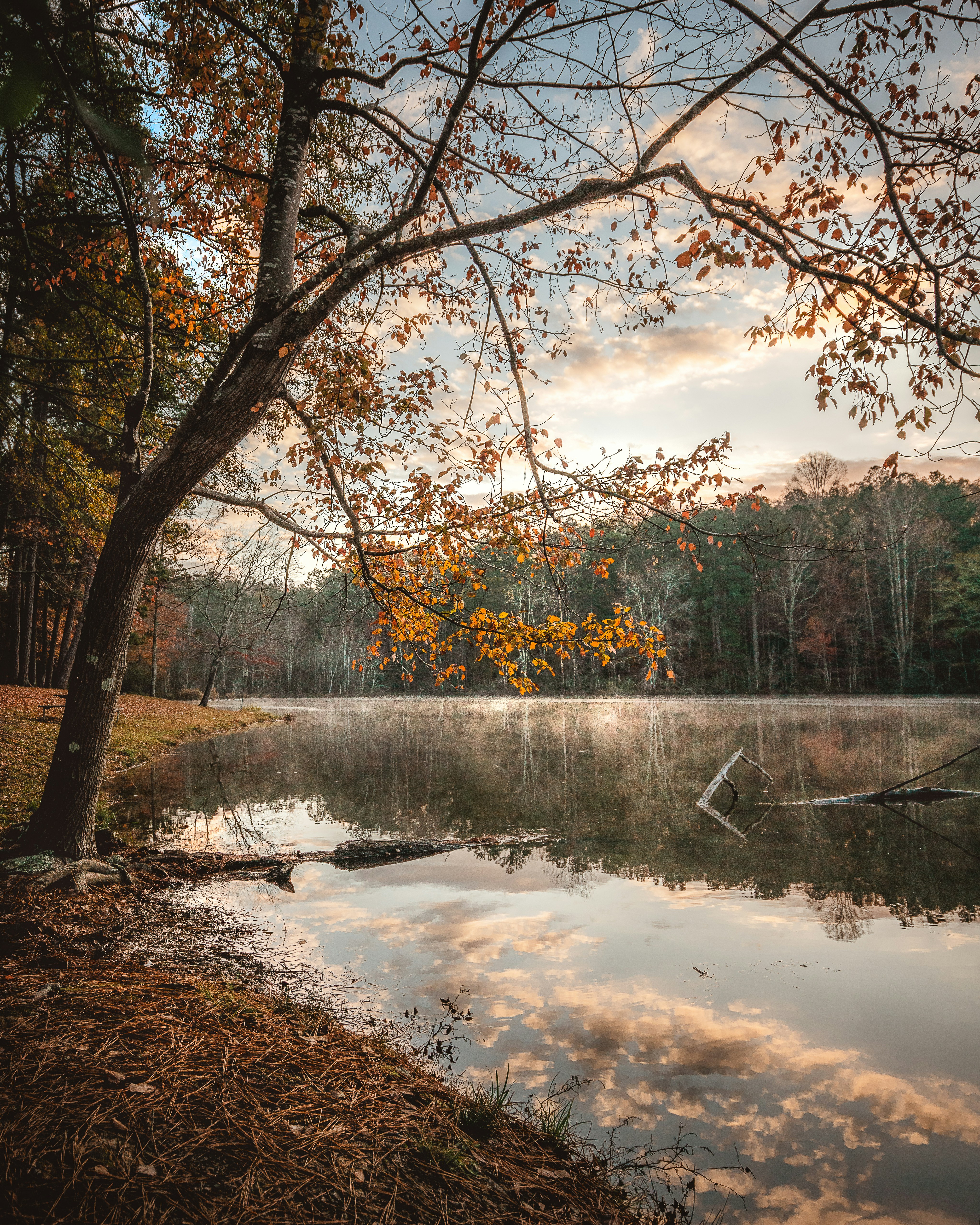 Photo by nickbrownlow