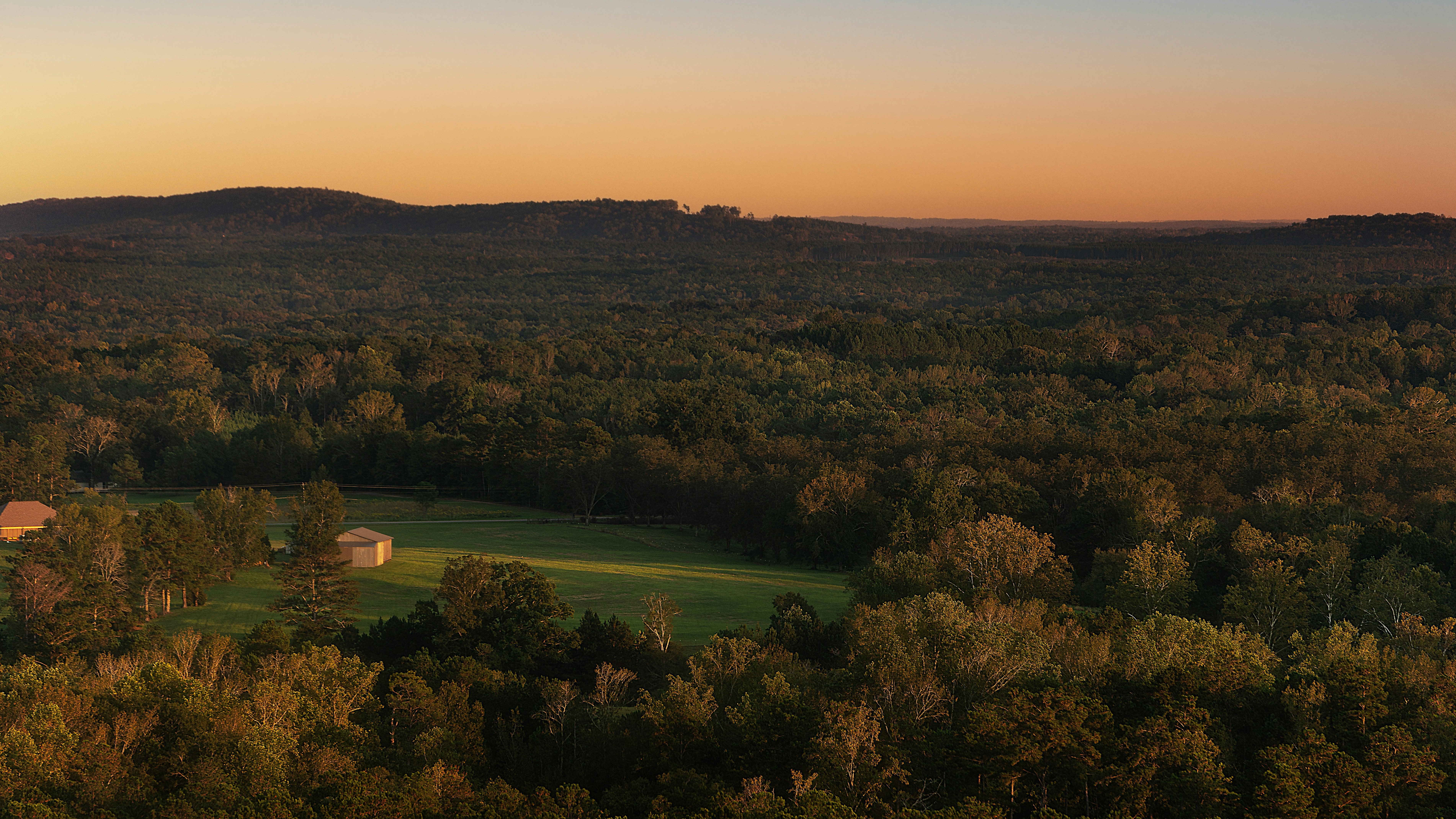 an aerial view of a lush green forest
