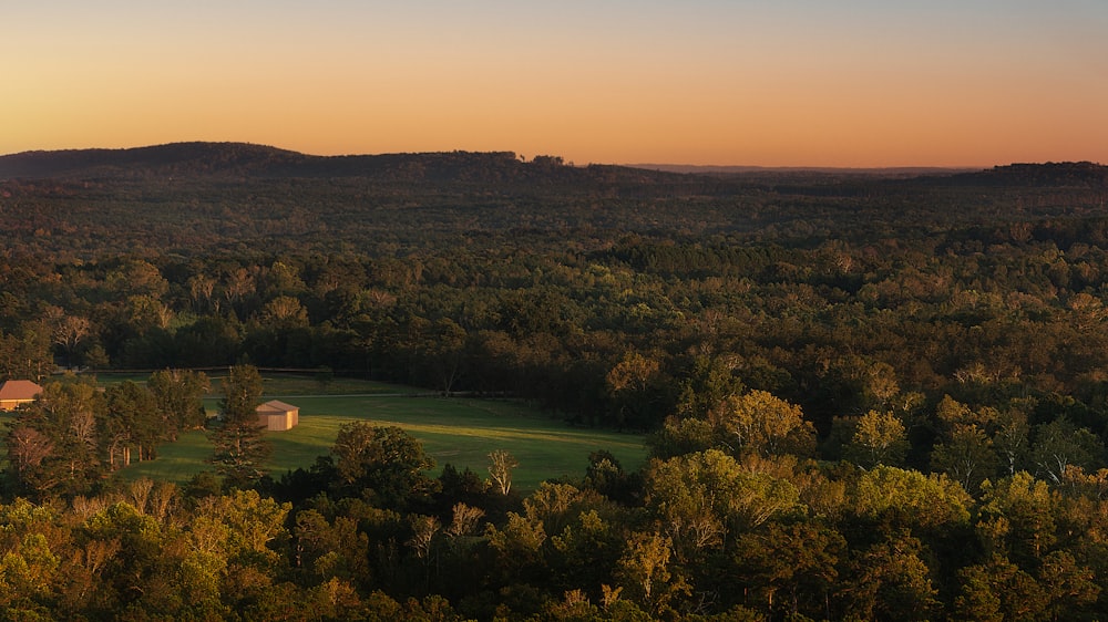 an aerial view of a lush green forest