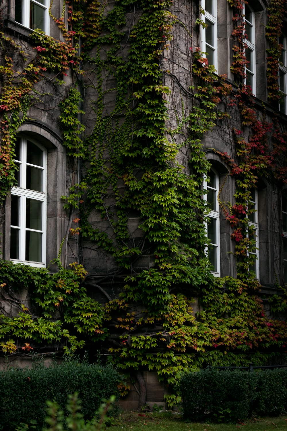 an old building covered in vines and flowers