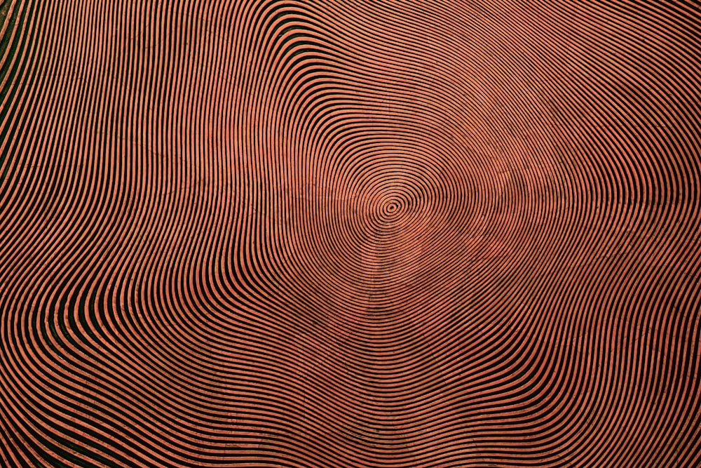 a red and black background with wavy lines