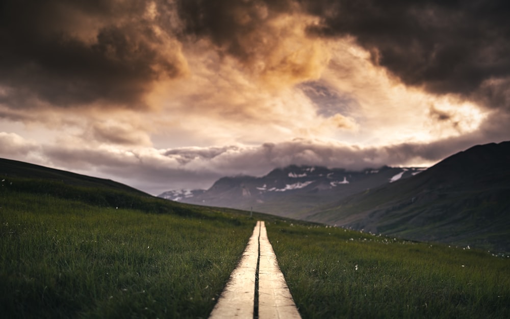 a long wooden road going through a green field