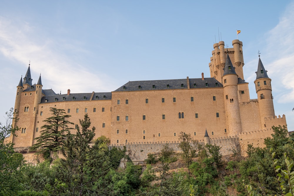 a castle on a hill with trees in front of it