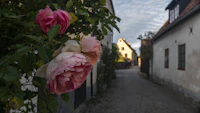 Best Neighborhoods to Stay in Visby: Where to Book and What to Expect