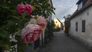 Visby