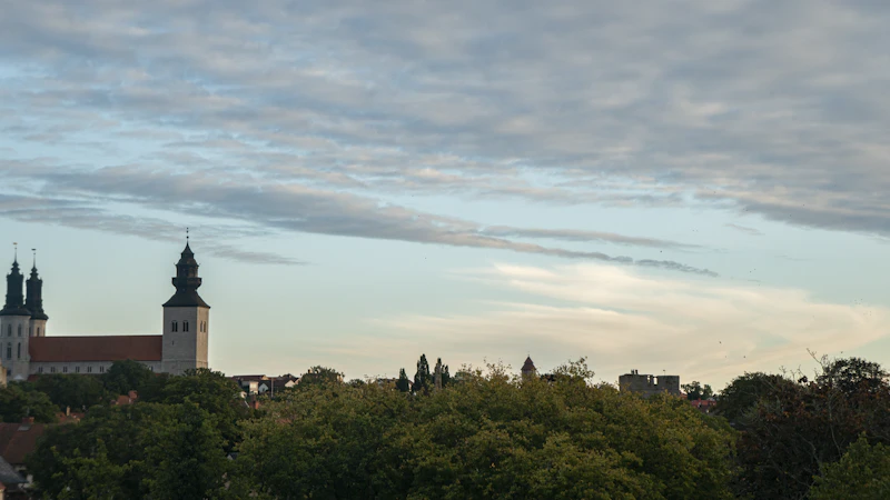 Best Places to Work From in Visby: A Remote Worker's Guide