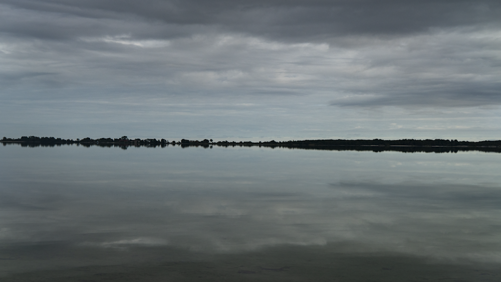 a large body of water surrounded by a forest