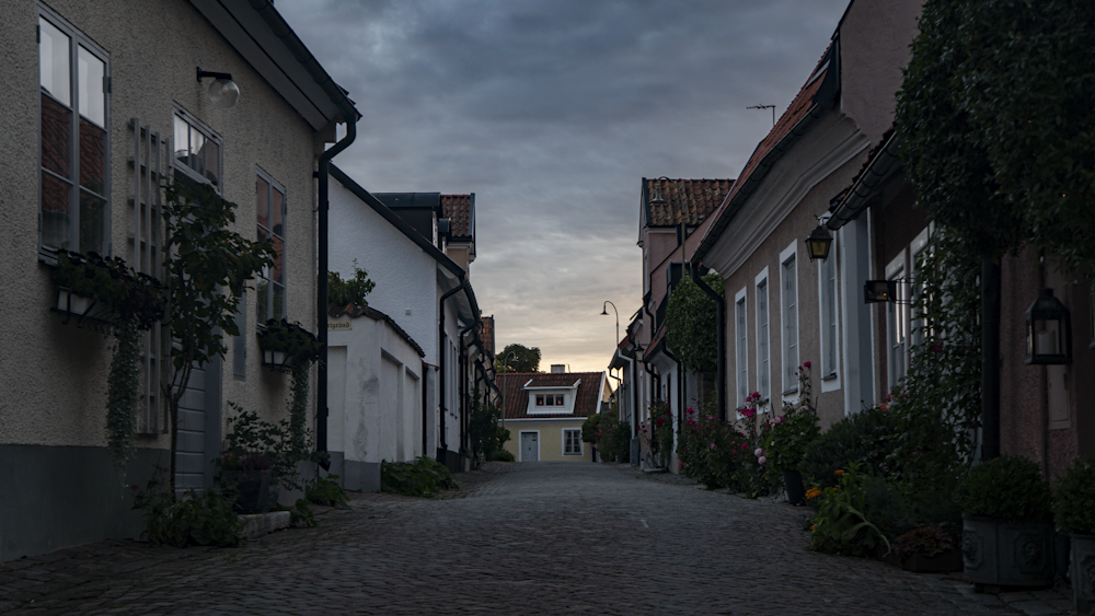 a cobblestone street lined with buildings under a cloudy sky