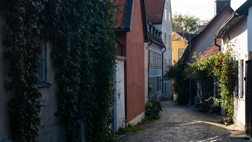 a narrow cobblestone street lined with buildings