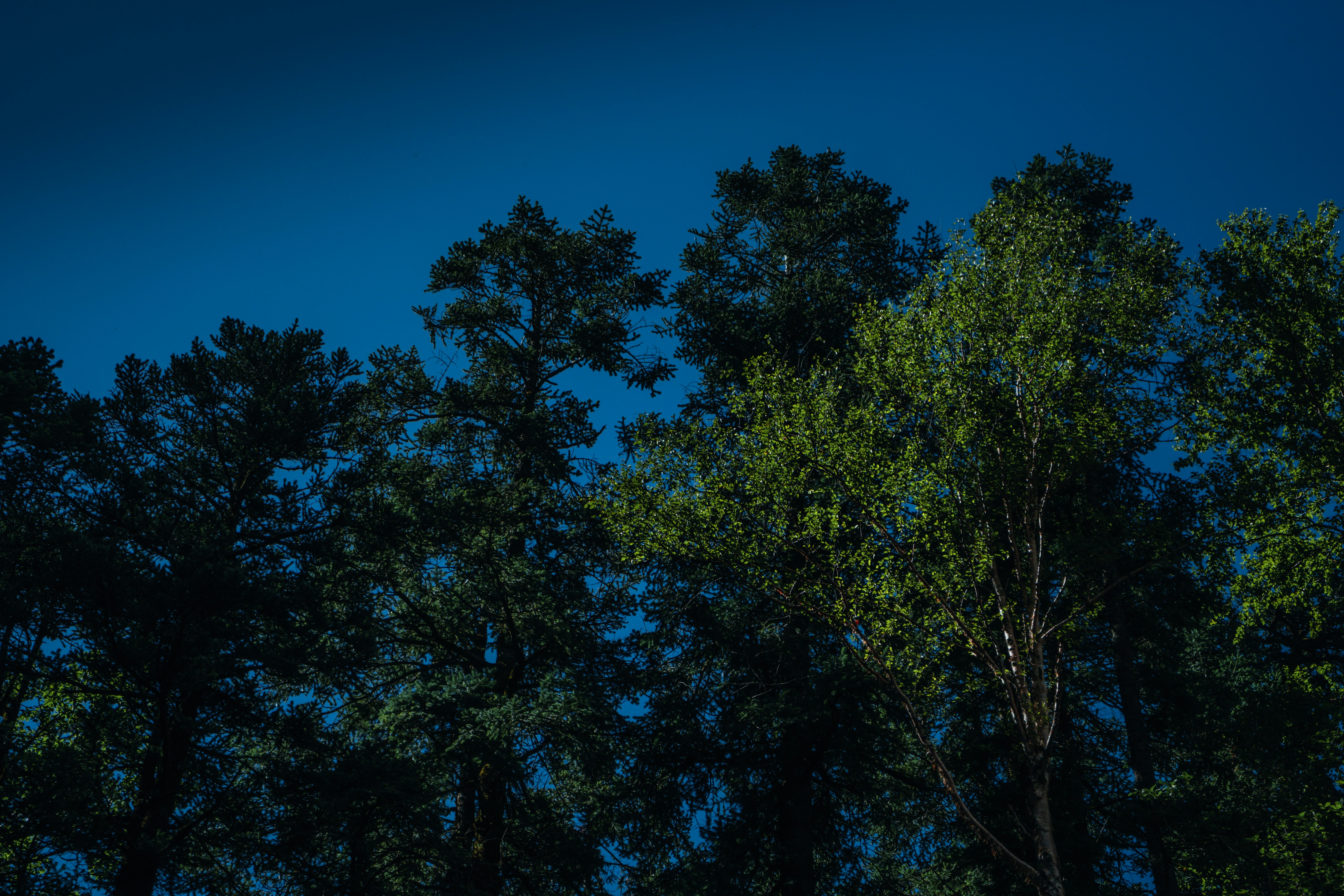 Photo by jayeshjoshi12