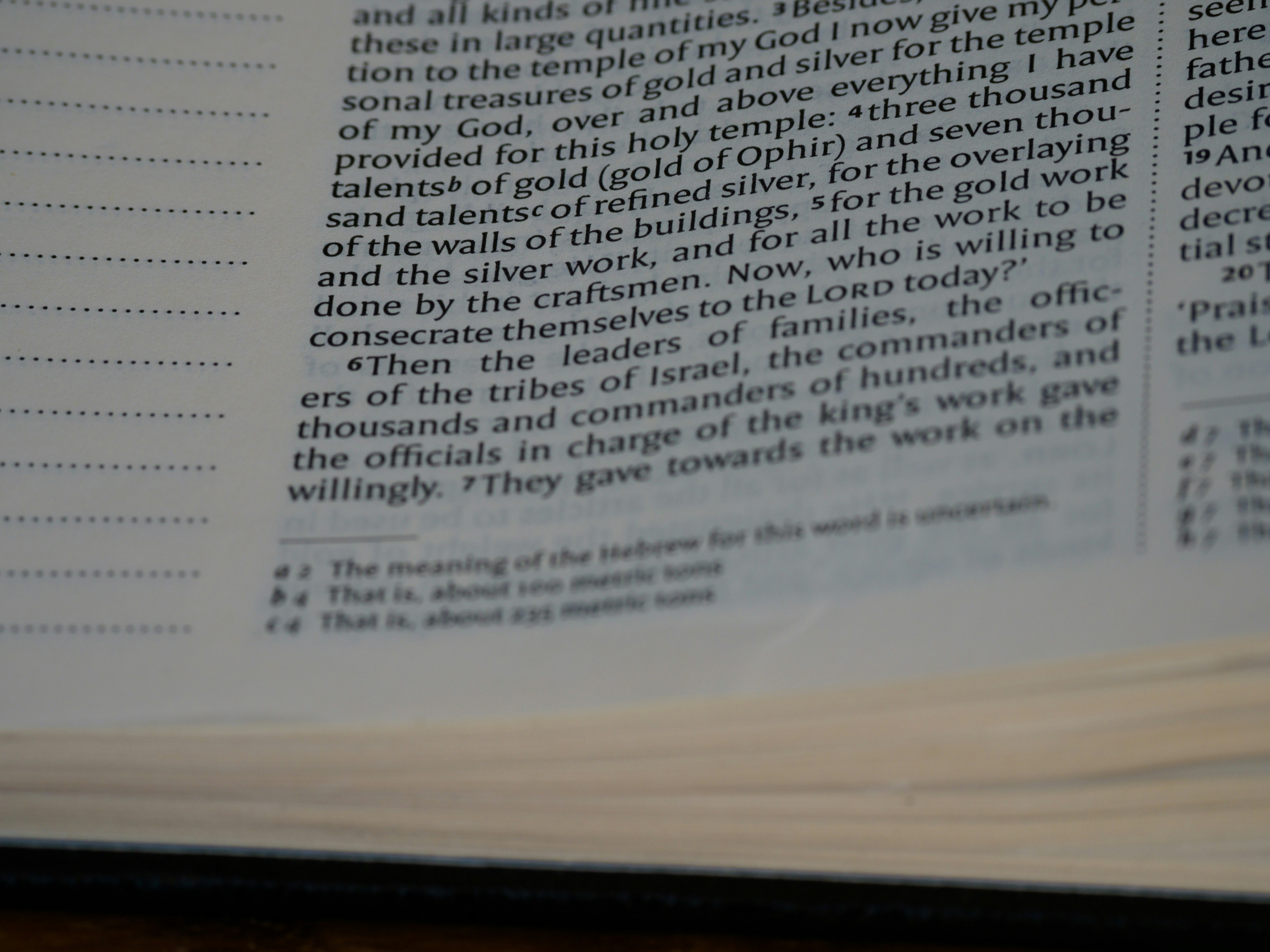 Photo by brett_jordan