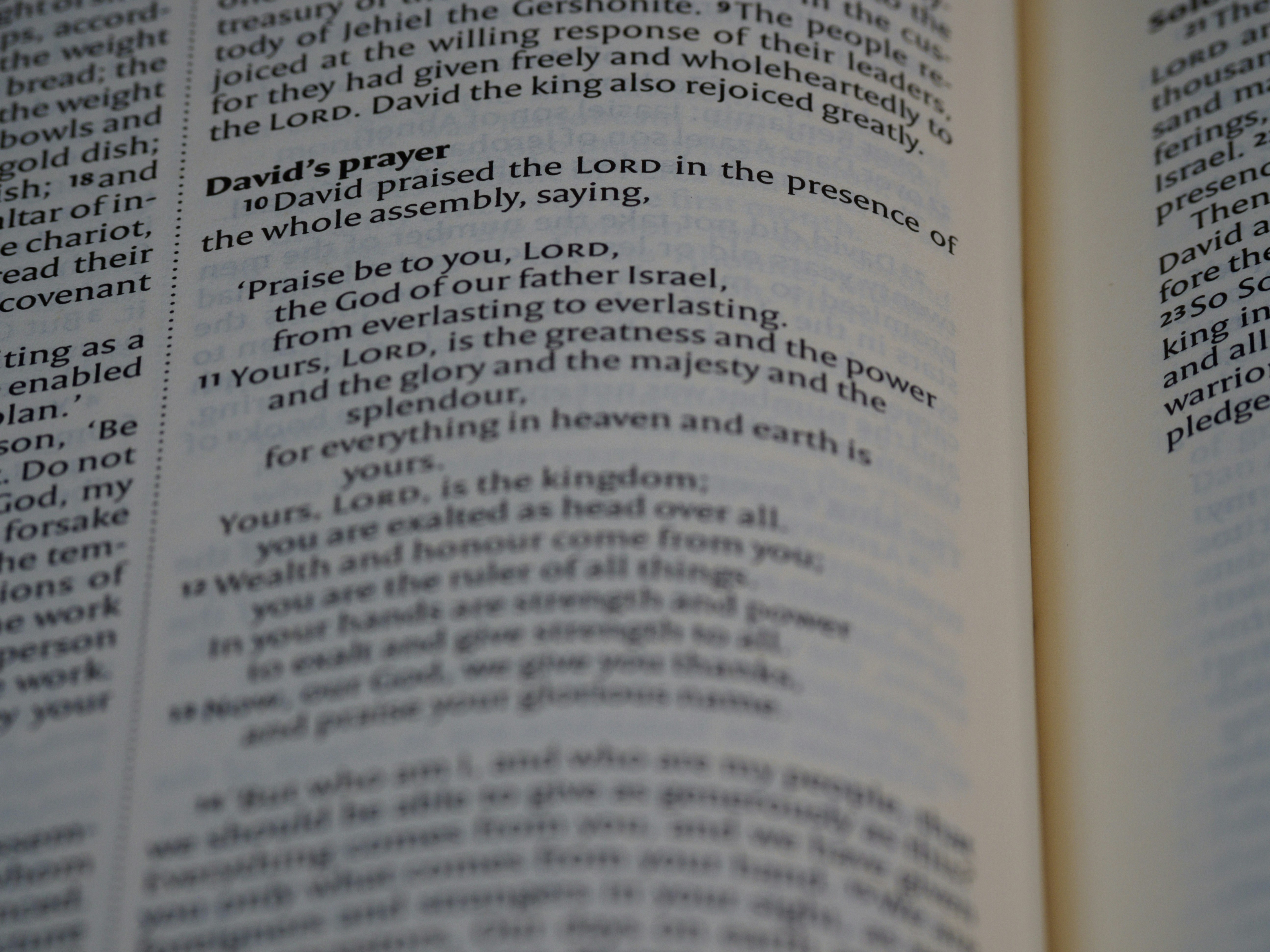 a close up of an open book with words on it