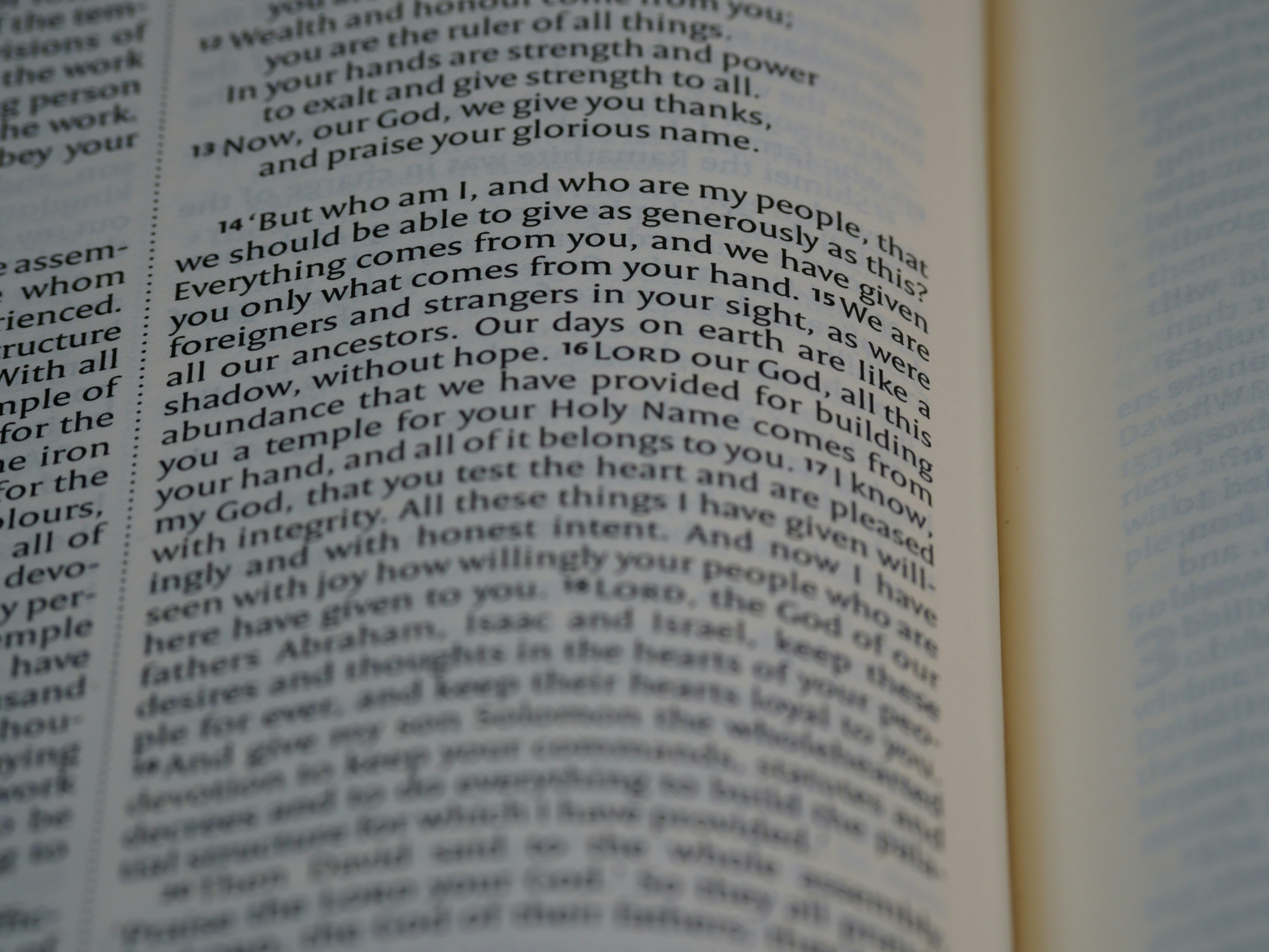 Photo by brett_jordan