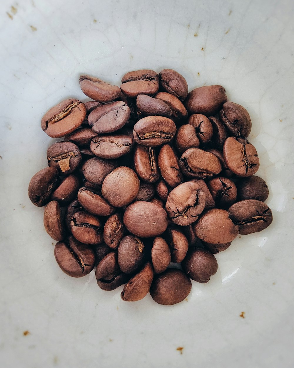a pile of coffee beans in a white bowl